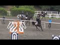 schooling yh 2021　第12競技　中障害飛越（非公認）　リバーソウル　川口航矢