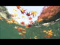 花嫁ブルース　　夕涼美オリジナル76 作詞山本幸代　歌　夕涼美　　　　作曲hirata様