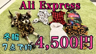 彼氏に貢ぐ！【犬の激安服】Ali Express購入品！チワワ×ミニピン