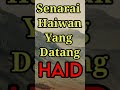 haiwan yang datang bulan #shorts #info