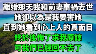 離婚那天我和前妻車禍去世，她卻以為是我要害她，直到她看到心上人的真面目，終於後悔了求我原諒，可我們已經回不去了【故事簍子】#落日溫情#情感故事#花開富貴#深夜淺讀#家庭矛盾#爽文