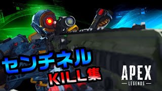 【APEX】見たら使いたくなるセンチネル　キル集