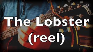 The Lobster (reel) | Irish traditional music | mandola