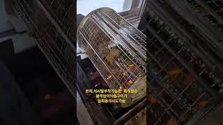 이젠석쇠세척필요없습니다     일회용석쇠탈부착 가능한특허받은\