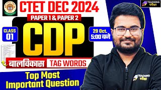 CTET CDP Marathon | CTET Dec 2024 CDP Marathon by Danish Sir | CDP for CTET Dec 2024 | CTET