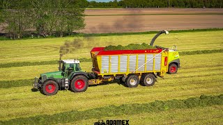 1. Schnitt 2021 bei Alster-Dairy GbR! ☆8x Fendt☆