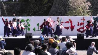 篠山よさこい2016 　チーム鬼灯　三の丸会場　4k