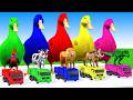 5 Giant Duck Cartoon,Cow,Mammoth,Elephant,Lion,Tiger Paint Wild Animals Crossing Fountain Animation