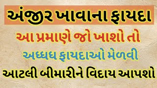 અંજીર ના જબરદસ્ત ઔષધીય ફાયદા વિવિધ સમસ્યામાં અંજીર લેવાની સાચી રીત Health Benefits \u0026 true use of Fig