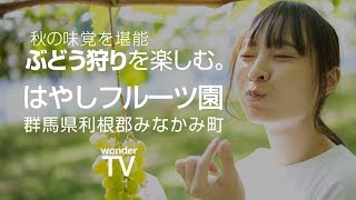 「はやしフルーツ園」（ぶどう狩り）群馬県利根郡みなかみ町【 wonder TV 】