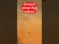 දියතලාව foxhill අනතුර srilanka viral foxhill