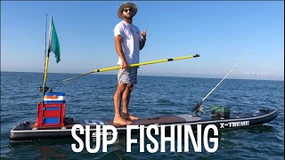 SUP FISHING / Una marea di catture in diretta