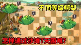 pvz2：挑戰沙灘第7天困難，不同等級的鱷梨，會有怎樣不同的體驗？