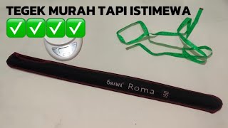 Review tegek ogawa roma 450