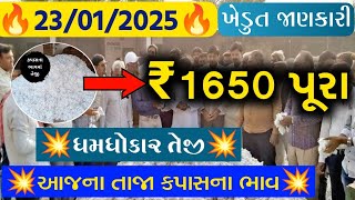 kapas na bhav | 23/01/2025 | કપાસના ભાવ:2025 | information about cotton crop price | commodity trend