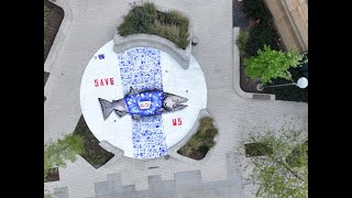 Out of Water Temporary Mural at California Natural Resources Building by Ilena Finocchi