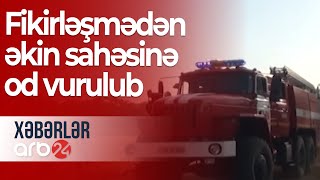 Şabranda dəhşətli yanğın - Fikirləşmədən əkin sahəsinə od vurulub - Xəbərlər