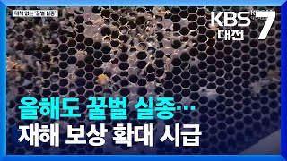 올해도 꿀벌 실종…재해 보상 확대 시급 / KBS  2023.02.06.