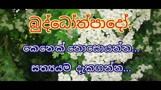 නිවන් දකින්නට ධර්මය දකින්න, එන්න. ..