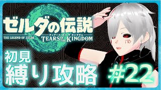 【初見攻略/縛り有】ハイラルの大地を駆け巡る！！縛り勇者の珍道中＃22