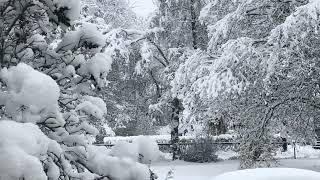 මේ අවුරුද්දේ පලමු හිමපතනය..❄️❄️❄️