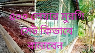 500 লেয়ার মুরগি। লেয়ার মুরগির ঘর কিভাবে বানাবেন দেখুন