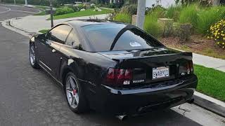 2001 mustang bullitt saved