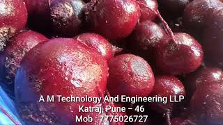 Beetroot Peeling Cum Washing Machine