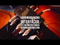 Goodwood Audio: INTERFACER - TX - ACOUSTIC - BASS