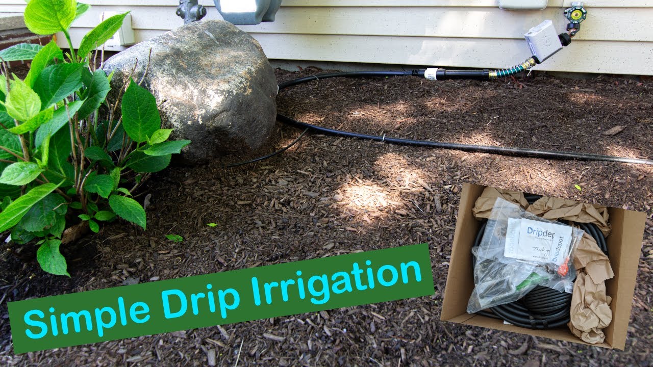 Simple Drip Irrigation Setup Youtube