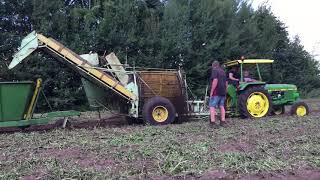 Oldtimer aardappelrooien in Barnflair (Ter Apel) georganiseerd door loonbedrijf Harry Kuper