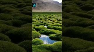 Puga Valley, Ladakh | India 🇮🇳