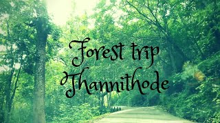 Kerala Road trip - Forest - Dash cam view - Thannithode to Chittar