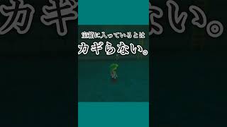 【風タク】自由すぎる発言で視聴者を困惑させる勇者【ゼルダの伝説 風のタクト HD】#ゼルダの伝説 #風タク  #shorts