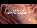 Critical Minerals and the Global Economy