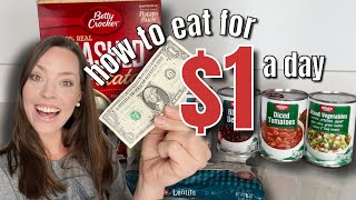HOW TO EAT FOR $1 A DAY (full week) 2023 | Extreme Budget Week of Food!