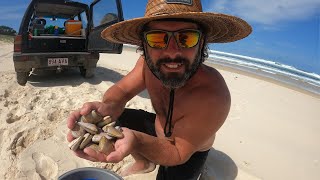 How to Catch Pippies and Prepare them for Cooking, Stradbroke Island Adventure!