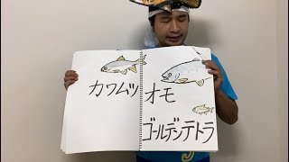 魚の名前でウィーアー！【ワンピース 100巻記念】#shorts