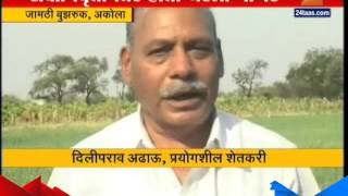 Akola : Diliprao Adhao Farmer Gets 15 Lakhs Income