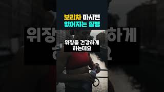 보리차를 마시면 없어지는 질병 3가지