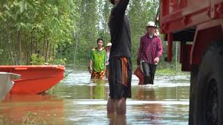 ขอนแก่น ทุลักทุเล เร่งช่วยหมู 1,000 ตัวหนีน้ำท่วม