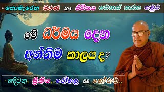 මේ ධර්මය දෙන අන්තිම කාලය ද? (-නොමැරෙන මරණ හා ජීවිතය වෙනස් කරන හමුව)-අදිටන, ප්‍රීතිය, රෝහල සහ හෝරාව