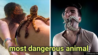 #octopus most dangerous animal of the sea. ऑक्टोपस की पूरी जानकारी,