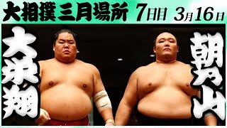 大相撲　大栄翔ー朝乃山＜令和６年三月場所７日目＞SUMO