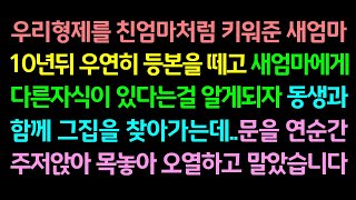 (반전사연)우리형제를 친엄마처럼 키워준 새엄마! 10년뒤 등본을 떼고 새엄마에게 다른자식이 있다는 걸 알게되자 동생과 그 집을 찾아가는데..문을 연 순간 목놓아 오열하고 말았습니다