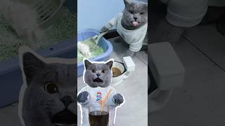 Finally, Bro's Reaction Completely Shocked Me!😲☕ #funnycat #prank #funnymemes