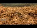 the ligurian sea mini documentary