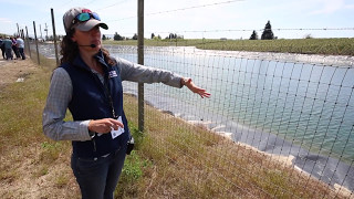 FSMA water sampling 101: Irrigation pond site assessment