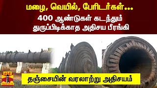 மழை, வெயில், பேரிடர்கள்... 400 ஆண்டுகள் கடந்தும் துருப்பிடிக்காத அதிசய பீரங்கி | Cannon | Thanjavur