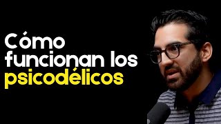 Cómo funcionan las terapias psicodélicas con Jorge Elizondo #71